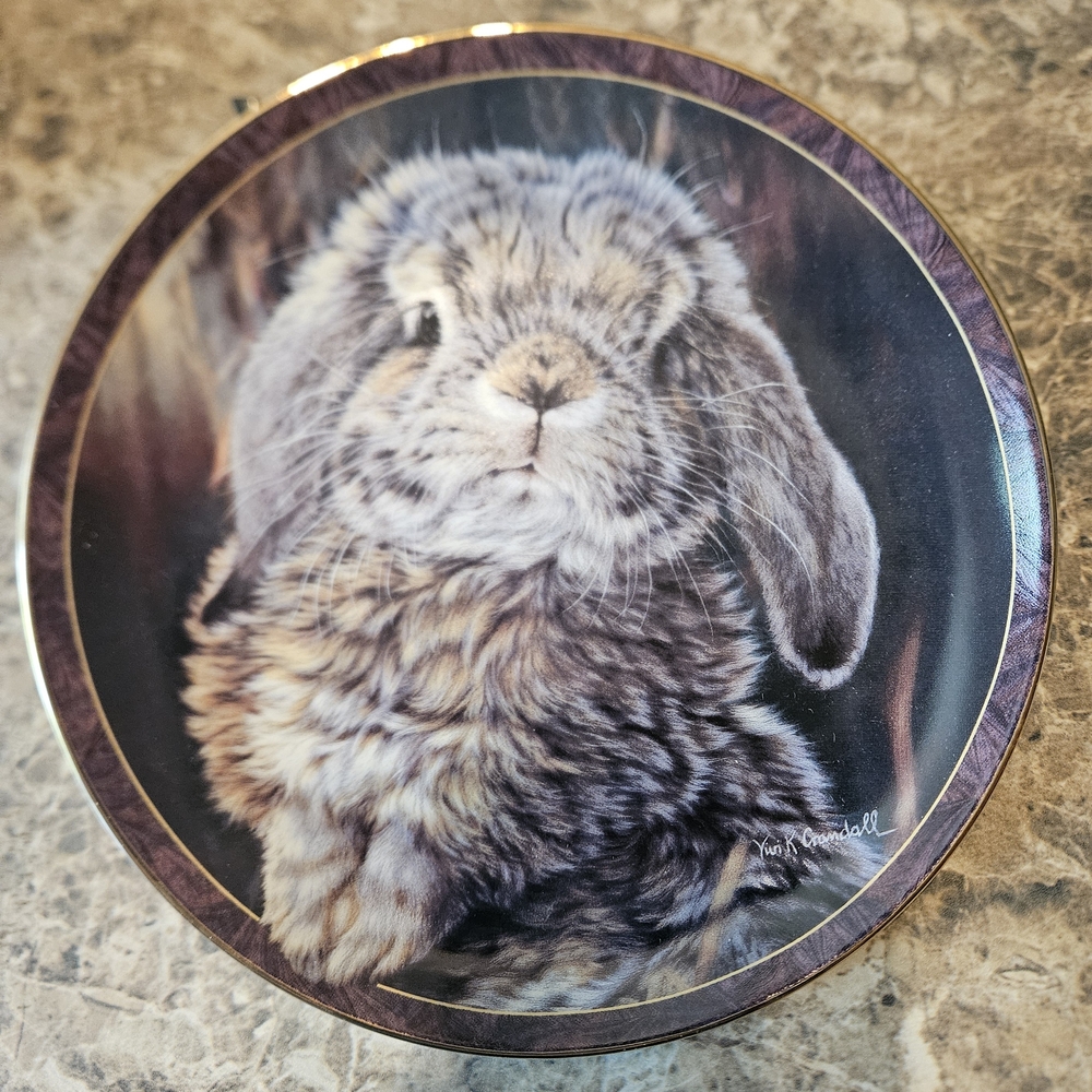 Bunny Tales " I'm All Ears" Plate